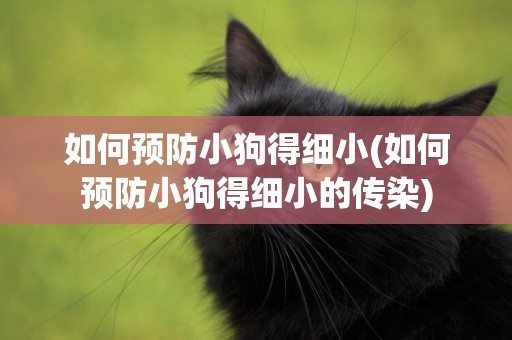 如何預防小狗得細小(如何預防小狗得細小的傳染)