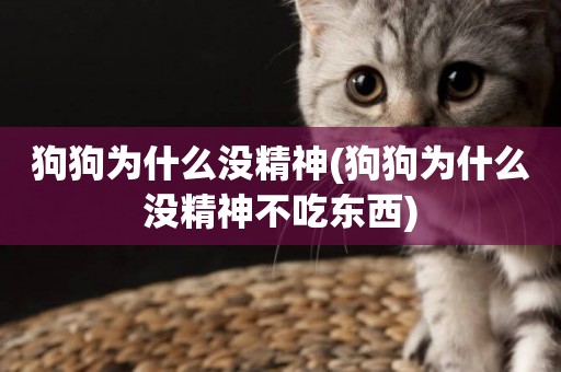 狗狗為什么沒精神(狗狗為什么沒精神不吃東西)