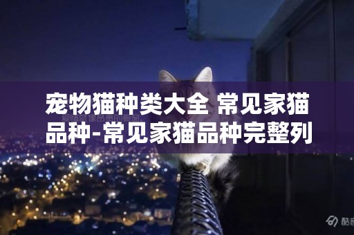 寵物貓種類大全 常見家貓品種-常見家貓品種完整列表（今日推薦） 