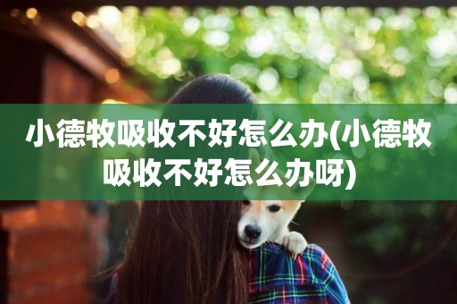 小德牧吸收不好怎么辦(小德牧吸收不好怎么辦呀)