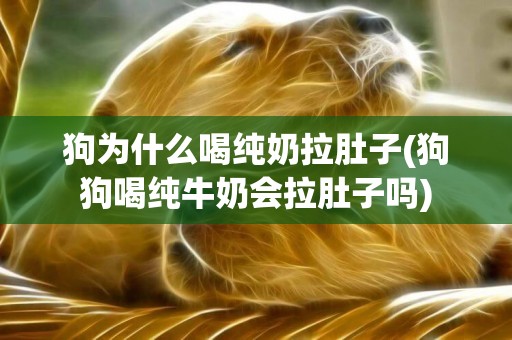 狗為什么喝純奶拉肚子(狗狗喝純牛奶會拉肚子嗎)