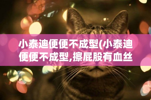 小泰迪便便不成型(小泰迪便便不成型,擦屁股有血絲)