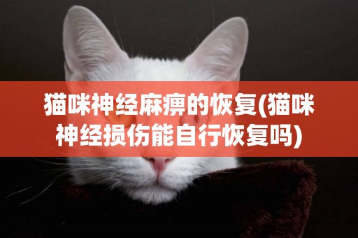 貓咪神經麻痹的恢復(貓咪神經損傷能自行恢復嗎)
