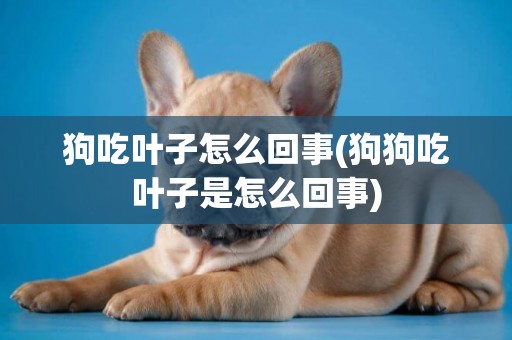 狗吃葉子怎么回事(狗狗吃葉子是怎么回事)