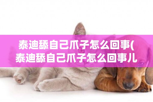 泰迪舔自己爪子怎么回事(泰迪舔自己爪子怎么回事兒)