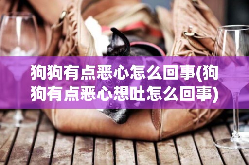 狗狗有點惡心怎么回事(狗狗有點惡心想吐怎么回事)