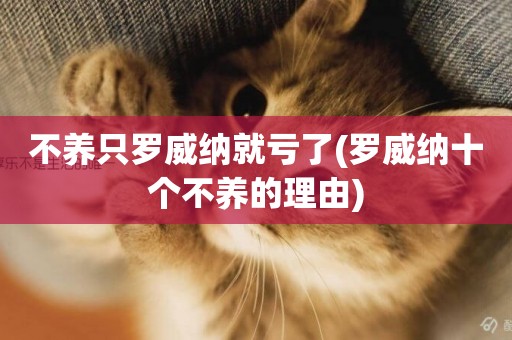不養只羅威納就虧了(羅威納十個不養的理由)