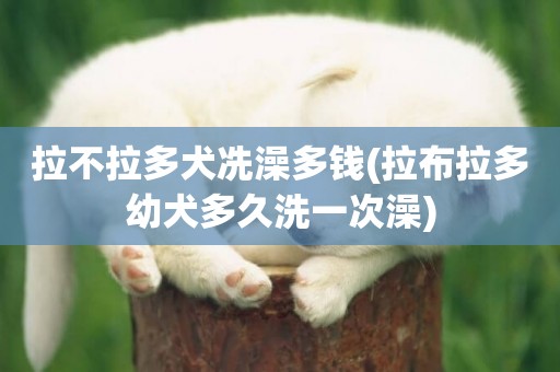 拉不拉多犬冼澡多錢(拉布拉多幼犬多久洗一次澡)