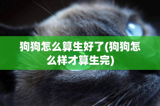 狗狗怎么算生好了(狗狗怎么樣才算生完)