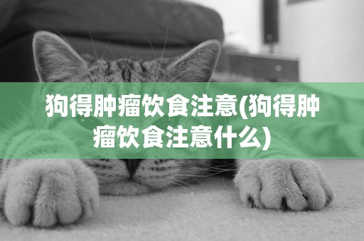 狗得腫瘤飲食注意(狗得腫瘤飲食注意什么)