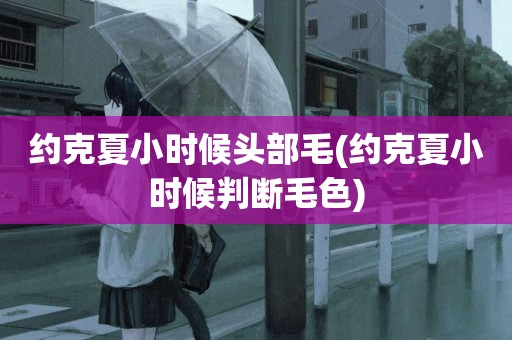 約克夏小時候頭部毛(約克夏小時候判斷毛色)