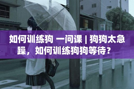 如何訓練狗 一問課 | 狗狗太急躁，如何訓練狗狗等待？ 