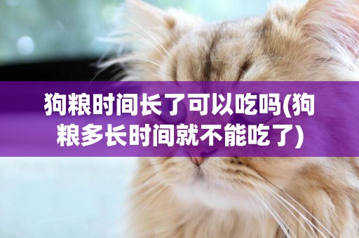狗糧時間長了可以吃嗎(狗糧多長時間就不能吃了)