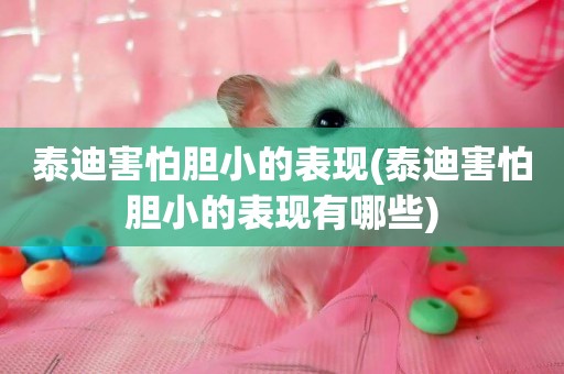 泰迪害怕膽小的表現(泰迪害怕膽小的表現有哪些)