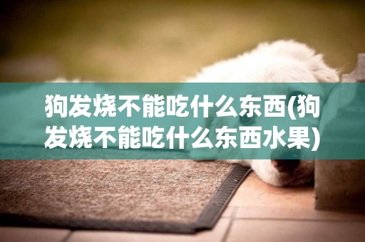 狗發燒不能吃什么東西(狗發燒不能吃什么東西水果)