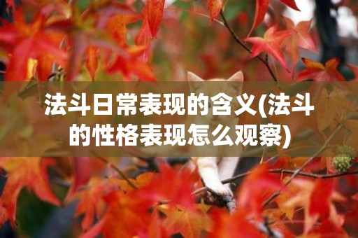 法斗日常表現的含義(法斗的性格表現怎么觀察)