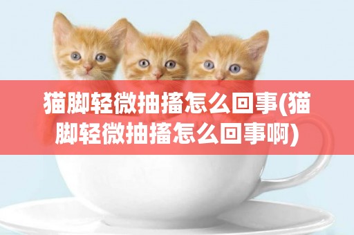 貓腳輕微抽搐怎么回事(貓腳輕微抽搐怎么回事啊)