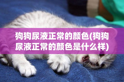 狗狗尿液正常的顏色(狗狗尿液正常的顏色是什么樣)