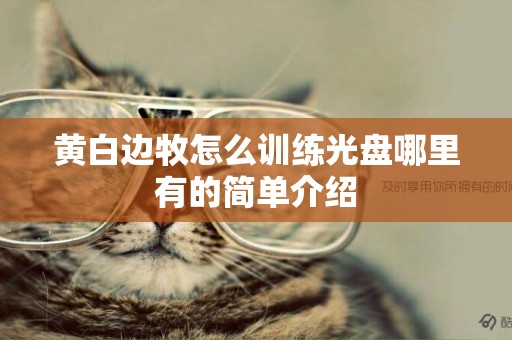 黃白邊牧怎么訓練光盤哪里有的簡單介紹
