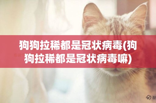 狗狗拉稀都是冠狀病毒(狗狗拉稀都是冠狀病毒嘛)