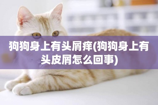 狗狗身上有頭屑癢(狗狗身上有頭皮屑怎么回事)