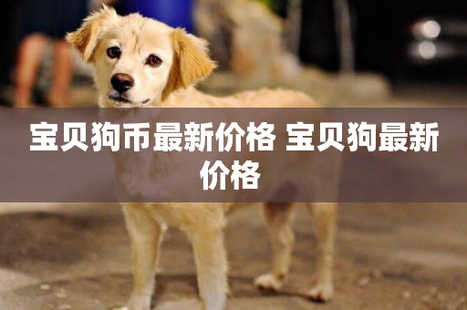 寶貝狗幣最新價格 寶貝狗最新價格 