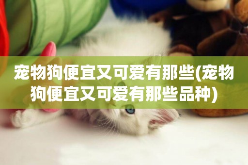 寵物狗便宜又可愛有那些(寵物狗便宜又可愛有那些品種)