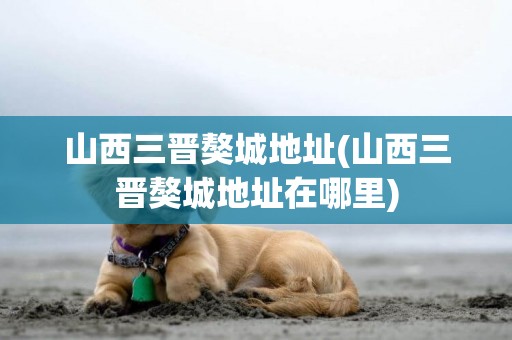 山西三晉獒城地址(山西三晉獒城地址在哪里)