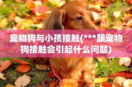 寵物狗與小孩接觸(***跟寵物狗接觸會引起什么問題)