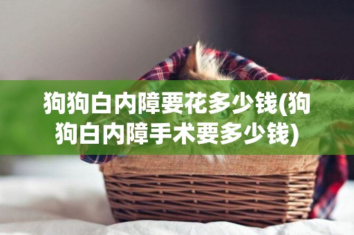 狗狗白內障要花多少錢(狗狗白內障手術要多少錢)