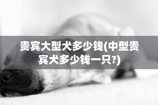 貴賓大型犬多少錢(中型貴賓犬多少錢一只?)