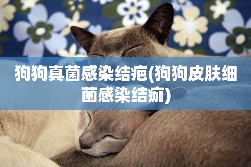 狗狗真菌感染結疤(狗狗皮膚細菌感染結痂)