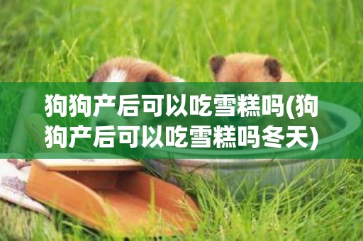 狗狗產后可以吃雪糕嗎(狗狗產后可以吃雪糕嗎冬天)
