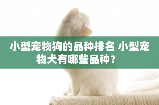 小型寵物狗的品種排名 小型寵物犬有哪些品種？ 