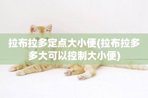 拉布拉多定點大小便(拉布拉多多大可以控制大小便)