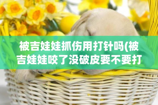 被吉娃娃抓傷用打針嗎(被吉娃娃咬了沒破皮要不要打針)