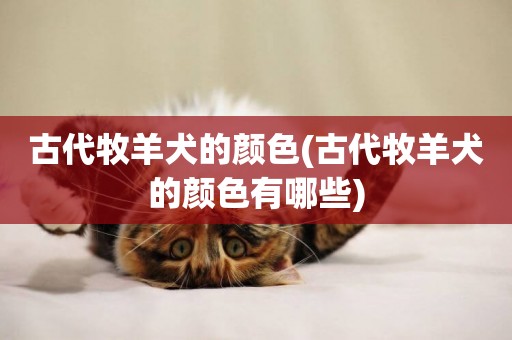 古代牧羊犬的顏色(古代牧羊犬的顏色有哪些)