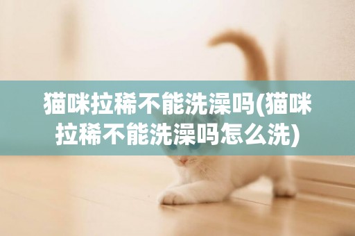 貓咪拉稀不能洗澡嗎(貓咪拉稀不能洗澡嗎怎么洗)
