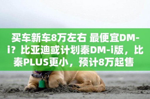 買車新車8萬左右 最便宜DM-i？比亞迪或計劃秦DM-i版，比秦PLUS更小，預計8萬起售 