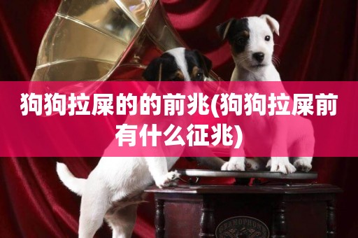 狗狗拉屎的的前兆(狗狗拉屎前有什么征兆)