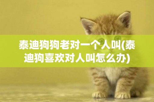 泰迪狗狗老對一個人叫(泰迪狗喜歡對人叫怎么辦)