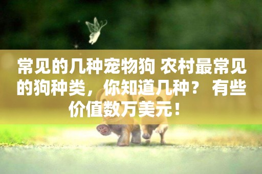 常見的幾種寵物狗 農村最常見的狗種類，你知道幾種？ 有些價值數萬美元！ 