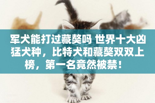 軍犬能打過藏獒嗎 世界十大兇猛犬種，比特犬和藏獒雙雙上榜，第一名竟然被禁！ 