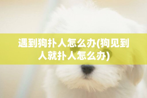 遇到狗撲人怎么辦(狗見到人就撲人怎么辦)