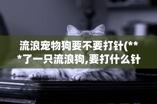 流浪寵物狗要不要打針(***了一只流浪狗,要打什么針嗎)