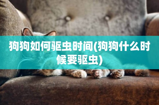 狗狗如何驅蟲時間(狗狗什么時候要驅蟲)