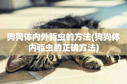 狗狗體內外驅蟲的方法(狗狗體內驅蟲的正確方法)