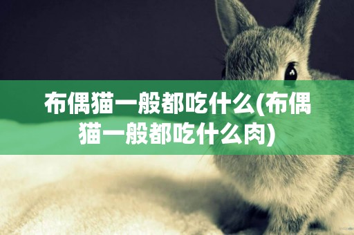 布偶貓一般都吃什么(布偶貓一般都吃什么肉)