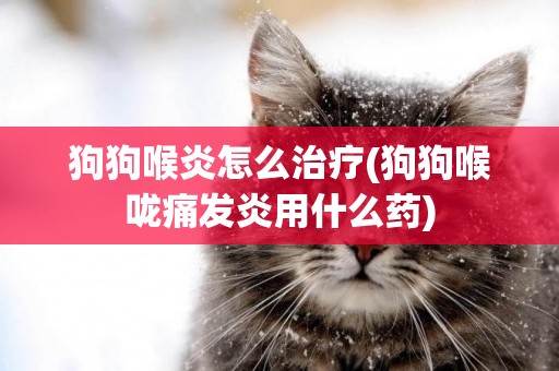 狗狗喉炎怎么治療(狗狗喉嚨痛發炎用什么藥)