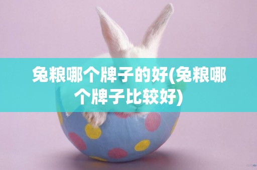 兔糧哪個牌子的好(兔糧哪個牌子比較好)